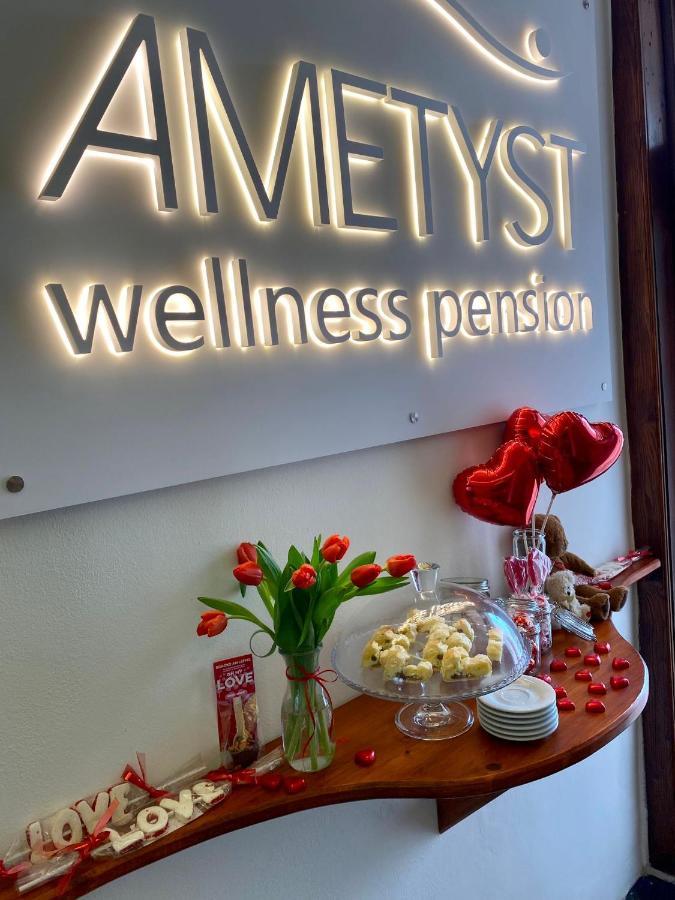 Wellness Pension Ametyst Чешки Крумлов Екстериор снимка